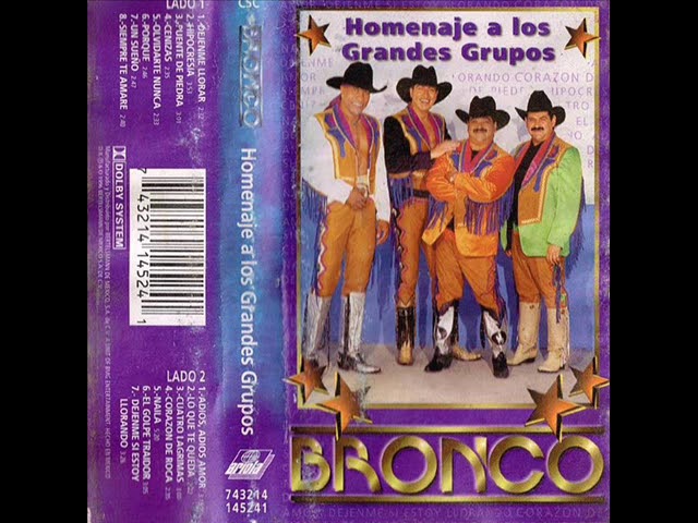 Grupo Bronco - Puente De Piedra