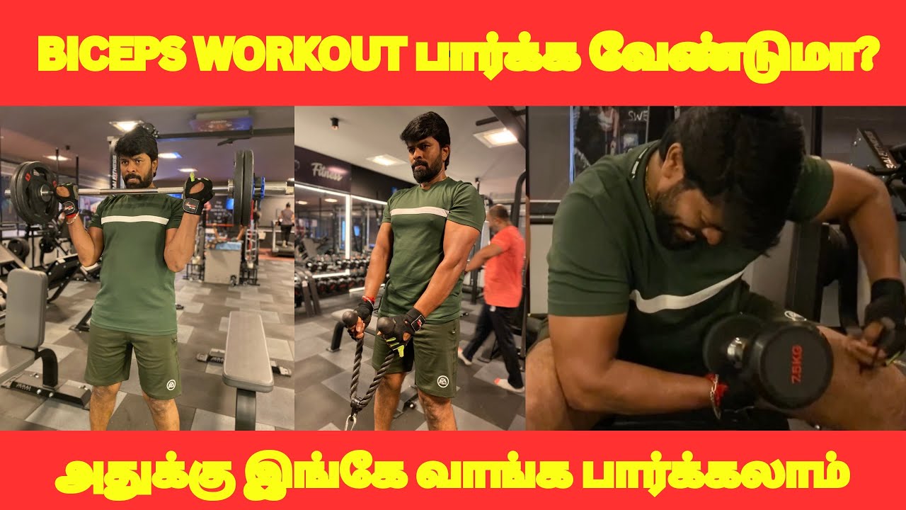 BICEPS WORKOUT 