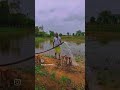 Ecozen|| Solar || Controller|| Pumping #solarpump #farming #ecozen #controller #trending #shorts
