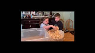 Incubation and Embryology - Lesson 5: Getting our Brooder Boxes Ready