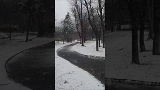 Sometimes I Feel Like Im Gonna Break cecewinansmix comejesuscome snowfall