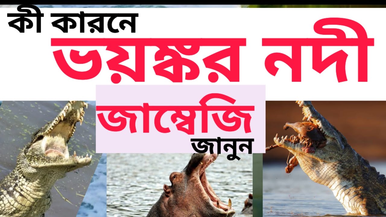 রহস্যময় জাম্বেজি নদী। Why Zambezi river so great and dangerous? YouTube