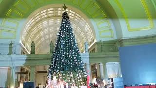 Norwegian Christmas Tree Lighting Countdown! Union Station 11.29.18