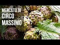 Rome&#39;s Farmers Market—Mercato di Circo Massimo #rome #farmersmarket