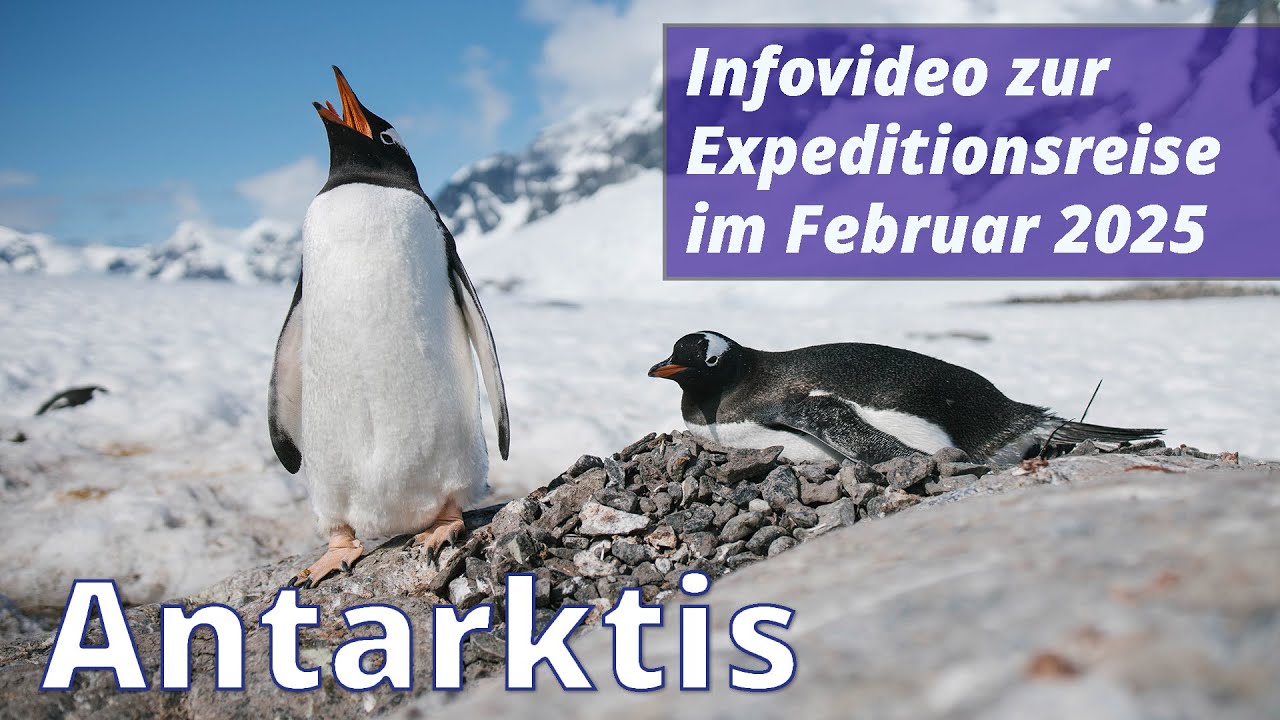 Info zu unserer Antarktis Tour im Februar 2025 mit Poseidon Expeditions