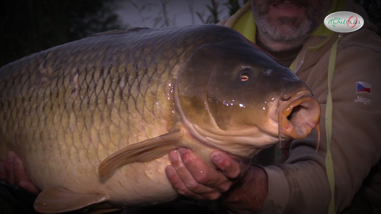 Team NULA - Sportex Arizona Cup - Medvědí jezero 2
