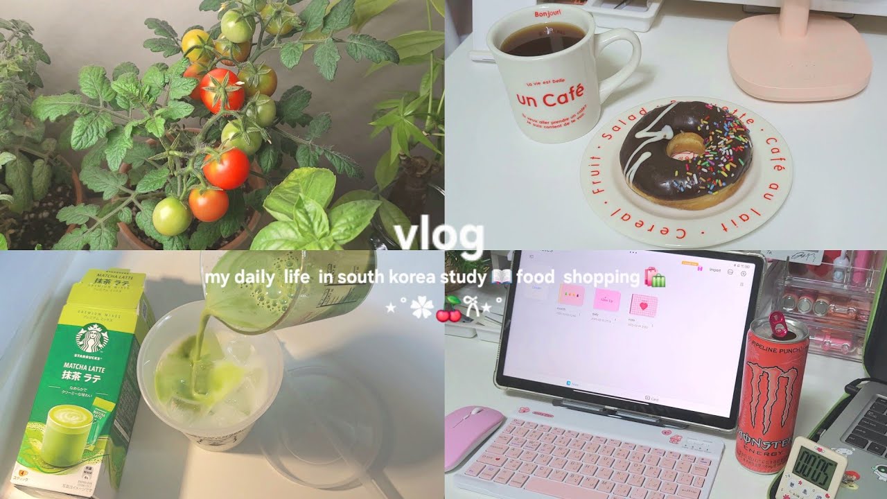 يومياتي في كوريا الجنوبية 🇰🇷 دراسة📖تسوق 🛍my daily  life in south korea 🇰🇷