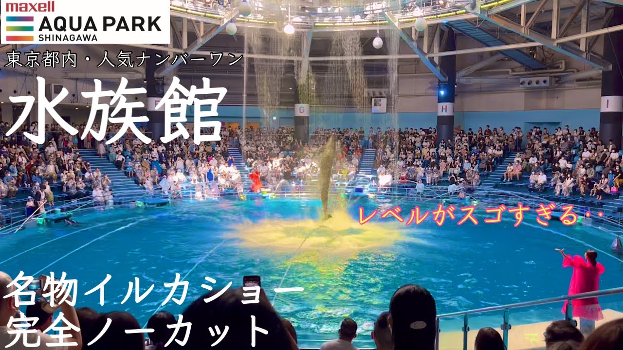東京 品川 水族館 人気ランキング１位 マクセルアクアパーク おすすめ おしゃれ デート スポット Tokyo Sightseeing Aquarium Youtube