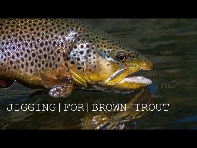 Mini Jigging for Trout - How I Catch Trout Using this Technique 