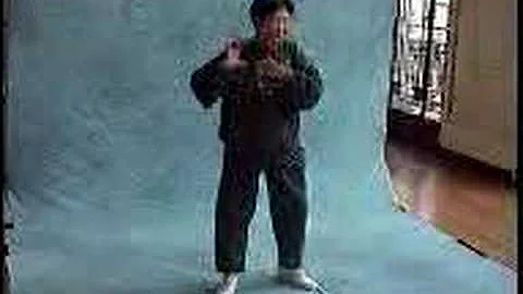 wang yufang does shili