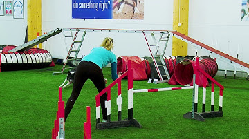 International Agility Training Week - Reacting to collection cues - preview