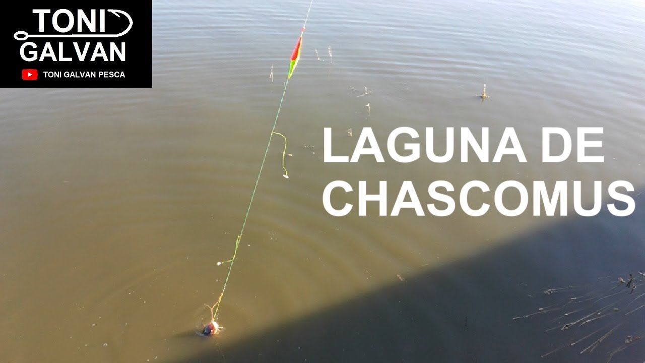 CHASCOMUS 08-2025 PESCA BUSCANDO EL PEJERREY