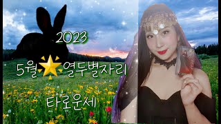 2023년5월 열두별자리 타로운세 by 포춘텔러Fiona.R