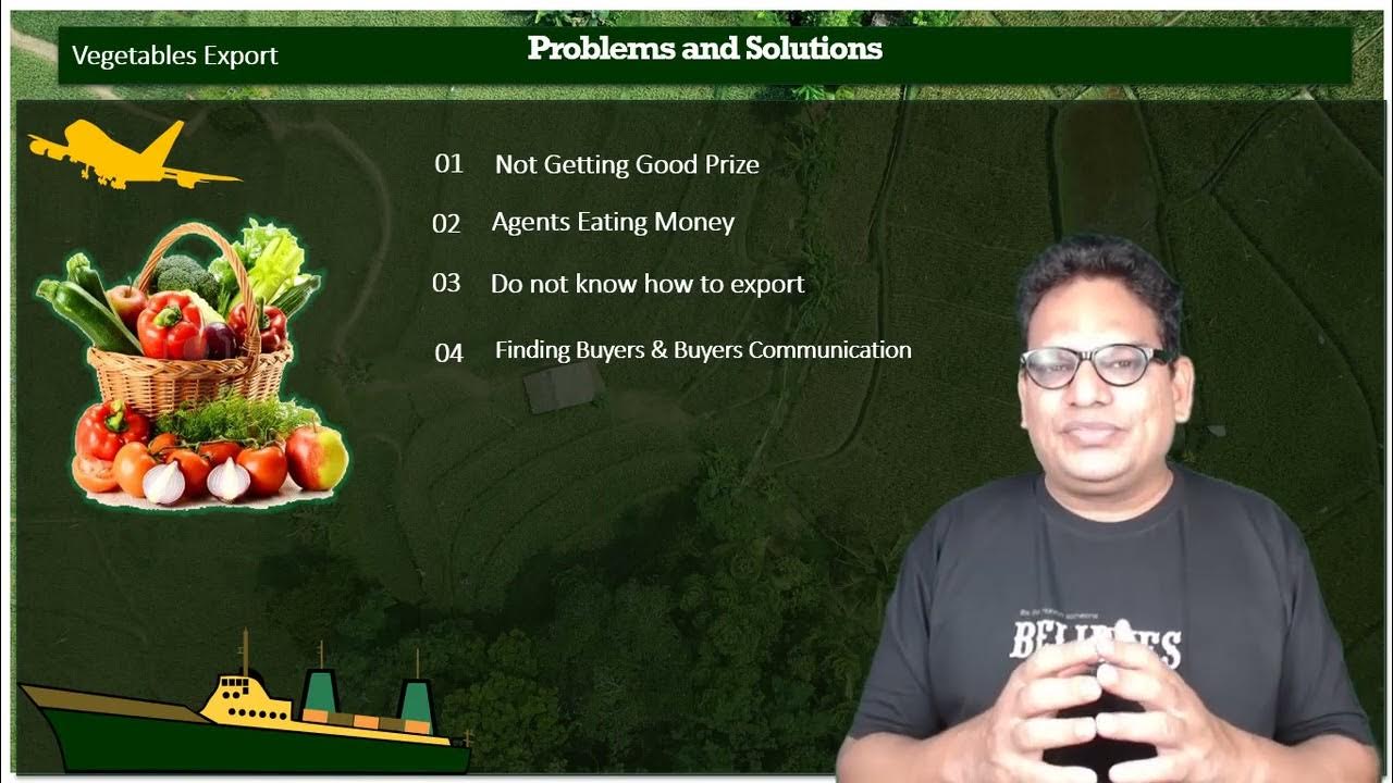 Vegetables Exported from India and Solutions Import Export Course