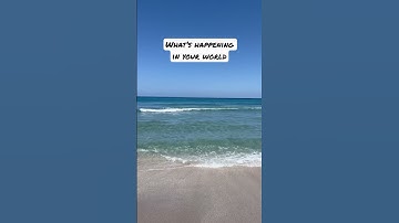 What’s happening #web3 #nftcommunity #nft #2023 #blockchain #crypto #florida #ai #chatgpt