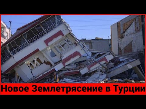 Видео: Новоподготвена канадска животинска болница, предлагаща грижа за ветеринарните лекари