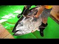 250 kg Giant Bluefin Tuna Cutting for Sashimi Taiwanese street food
