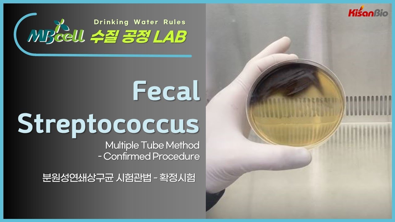 Mbcell 먹는물수질공정시험기준 분원성연쇄상구균-시험관법 확정시험 실험하기 ! (Fecal Streptococcus -  Multiple Tube Method) - Youtube