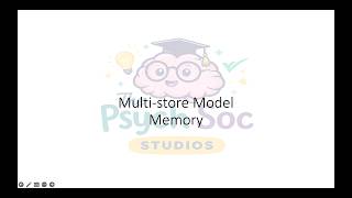 Celebrity Multi-store Model of Memory - 16 Marker Profile