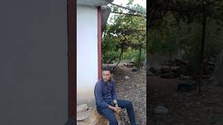 Kurdun Elinden Koyununu Kurtardi Teyzem