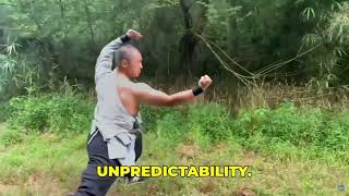 Mizongyi Kung Fu In 2 Minutes Just The Basics