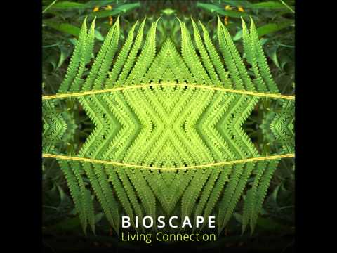 Bioscape — Bioscape - Underwater Bliss [Living Connection]