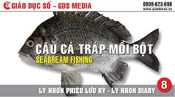 Lý Nhơn phiêu lưu ký phần 8 - Câu cá Tráp mồi bột