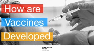 How are vaccine developed | Breakthrough Junior Challenge 2021