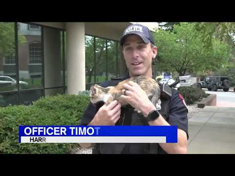 Officer adopts adorable kitten he rescued while on call