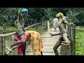 মূ/র্তি beast funnyvideo