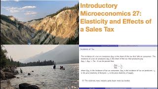 Introductory Microeconomics 27: Elasticity and Effects of a Sales Tax