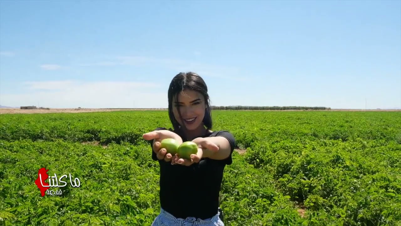 📣🍅🌶🖥 SICAM  ماكلتنا  قفصة