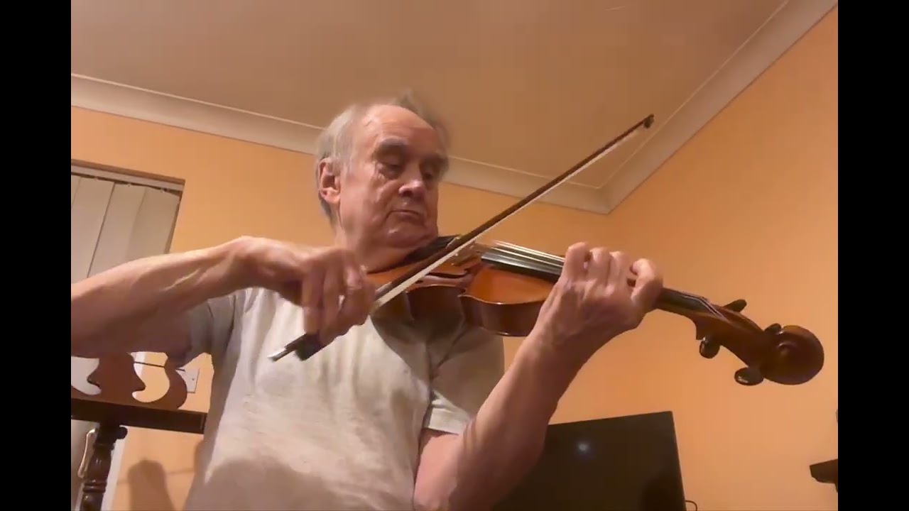 Evah Pirazzi  Neo Violin Strings   Demo