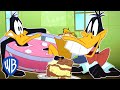 Looney Tunes | Daffy Dork | WB Kids
