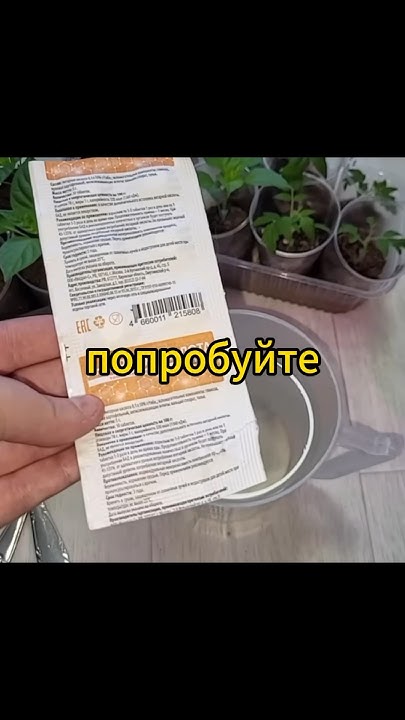 Польза янтарной кислоты - YouTube