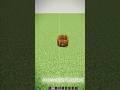 Minecraft #minecraft #shorts