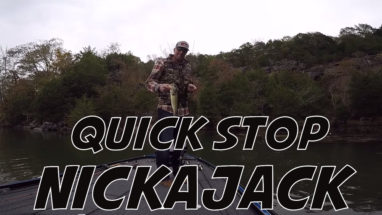 Fishing on Nickajack Lake - Bass FIshing quick stop on my way to Lake Guntersville! - YouTube