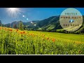 令和5年6月時事解説・時局分析｜藤原直哉理事長（収録版）202306
