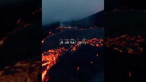 واتس اب قران كريم القارئ ياسر الدوسري من سورة (آل عمران)