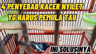 4 PENYEBAB KACER NYILET DAN CARA MENGATASINYA