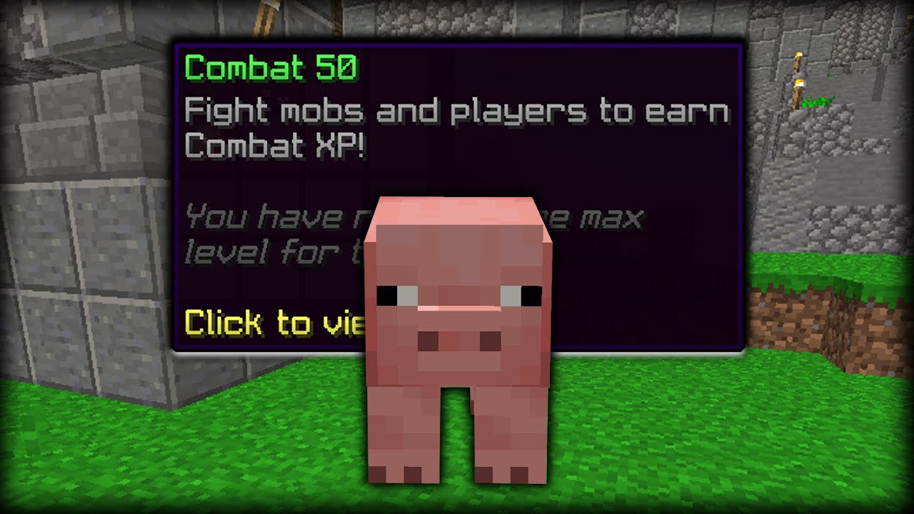 The pig that did it all (Hypixel Skyblock)