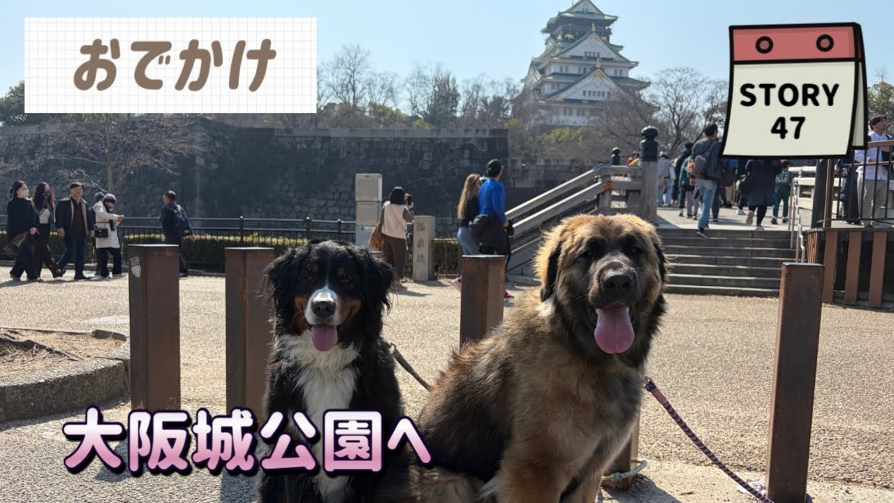 【ななエル物語】No.47梅の花を見に大阪城公園へ