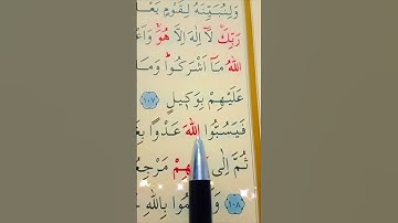 سورة الأنعام الأية 106 إلى 108 القارئ سعد الغامدي
