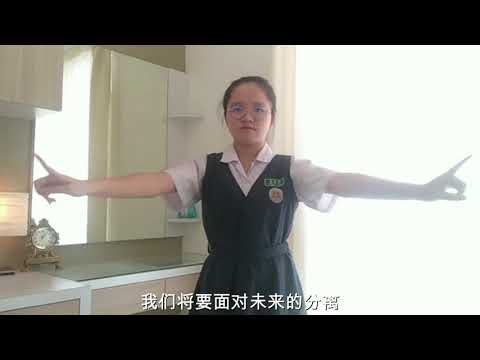 手牵手-手语表演 翠林城华小毕业歌（2）