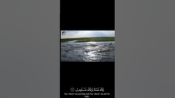 سورة الفاتحة بصوت عبد الرحمن مسعد
