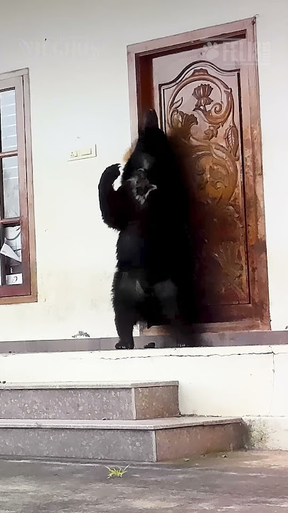 When your favourite beat drops, no one is an exception...