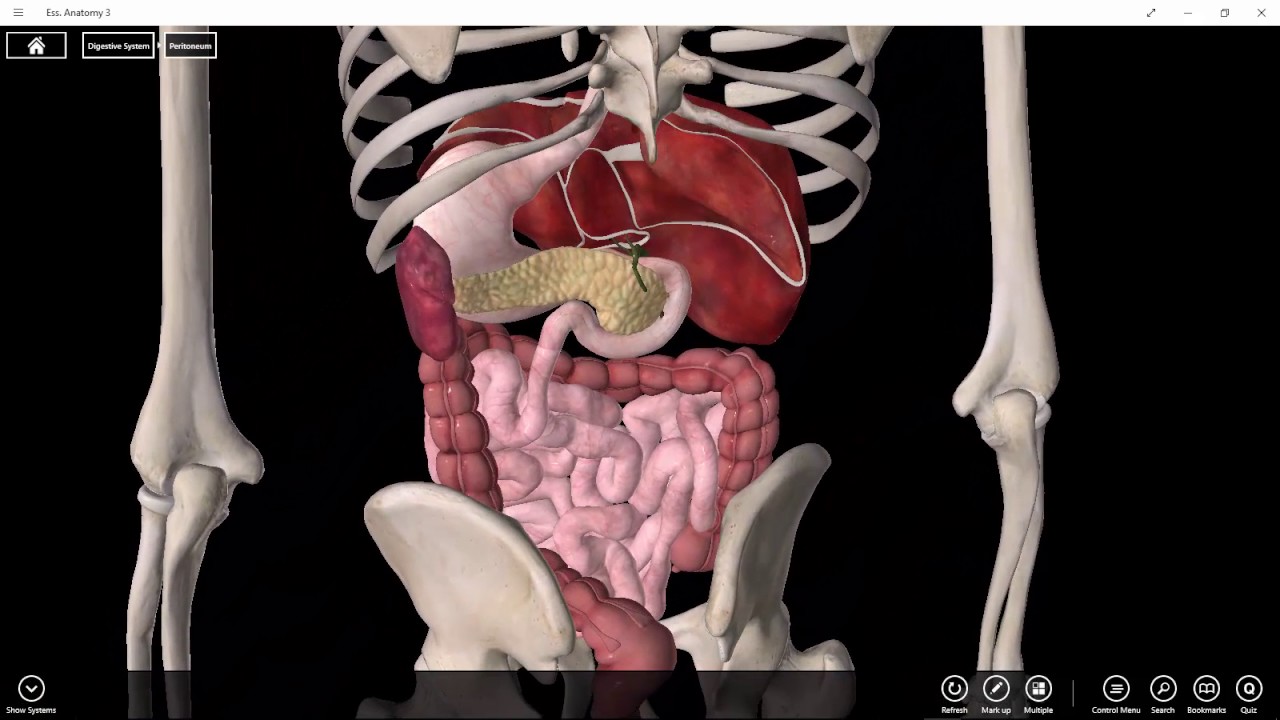 3D vizualizácia gastrointestinálneho traktu