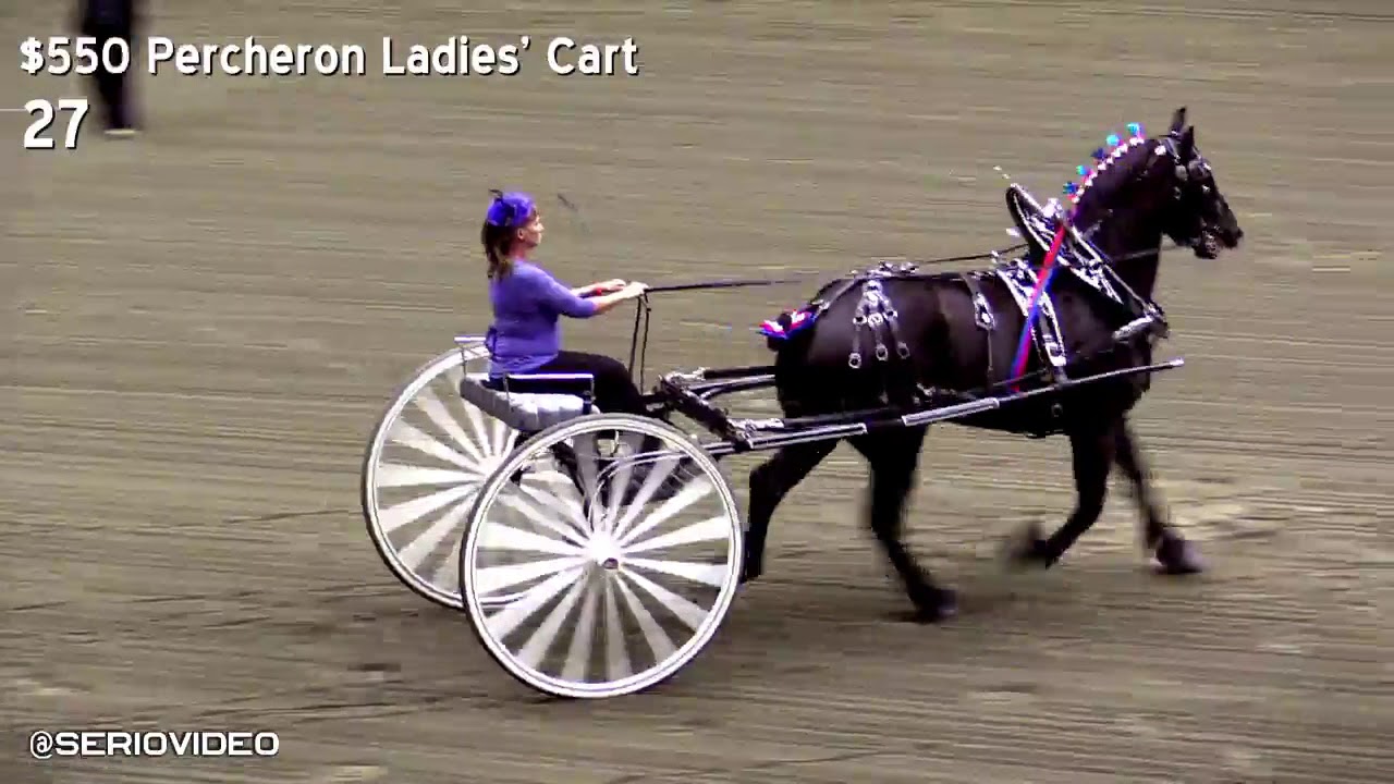 Big E Draft Show SAT Night YouTube big-e-draft-show-sat-night-youtube