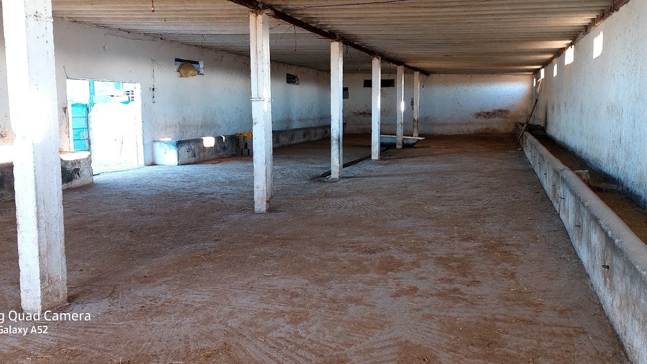 كاين فيرمة كبيرة للبيع في بن سليمان عين القصب فيها كوارة كبار جاهزين 3 لبيار واحد بلدي الماء موجود