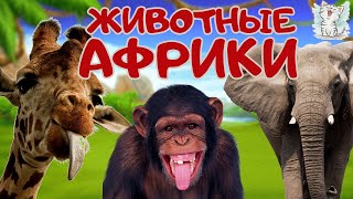 Животные Африки. Развивающее видео о животных для детей by Котейка ТВ Животные 411,013 views 4 months ago 13 minutes, 48 seconds